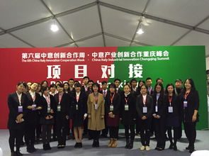 我院學(xué)子圓滿完成第六屆中意產(chǎn)業(yè)創(chuàng)新合作重慶峰會(huì)項(xiàng)目對(duì)接會(huì)翻譯與軟件開(kāi)發(fā)志愿服務(wù)